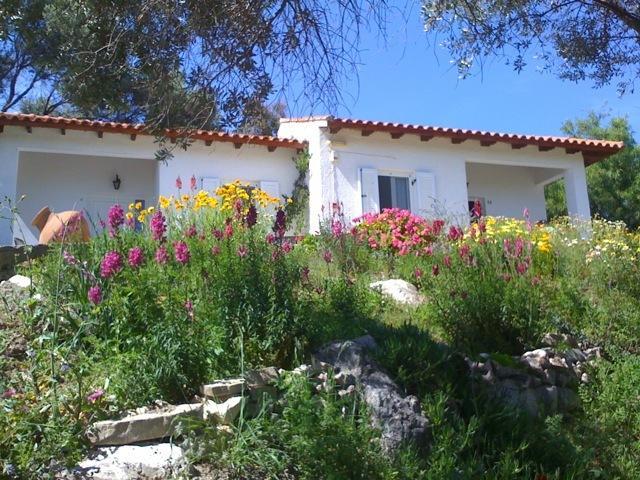אפרטהוטל פיתגוריו Elena Bungalows חדר תמונה
